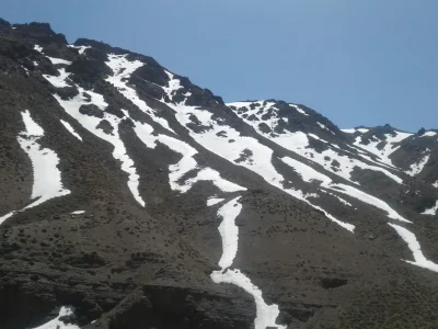 متخصص 913996957۱ سید قاسم حسینی راد 