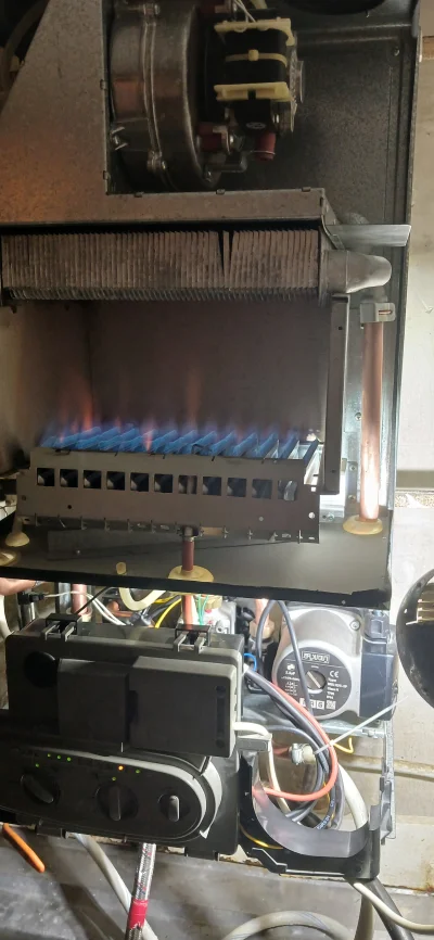 متخصص 9012674092