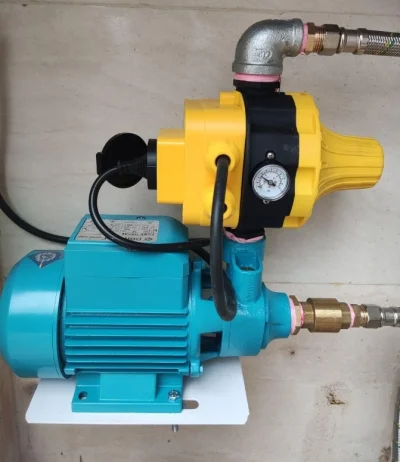 رضا سالمی فر