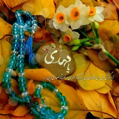 سید محمد جواد افتخاری تبار 