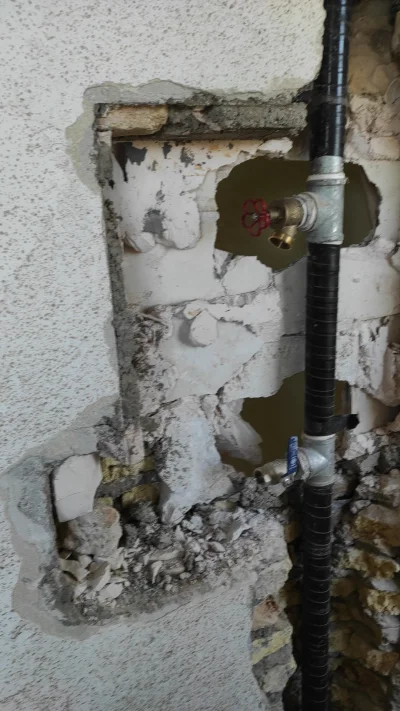 علی رضا جوکار 